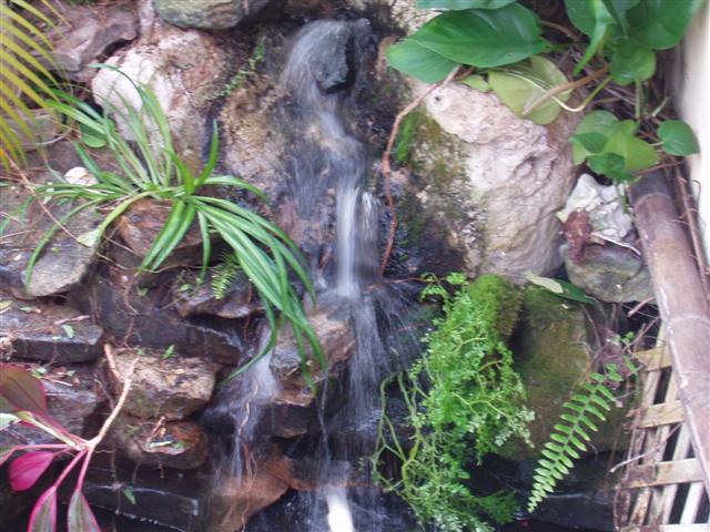 Image 20 of 28  -  66 kB